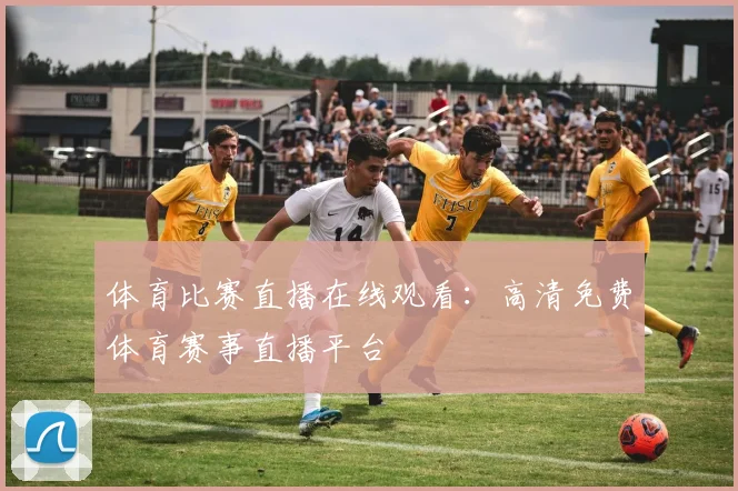 体育比赛直播在线观看:高清免费体育赛事直播平台